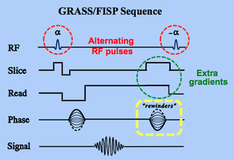 GRASS and FISP MRI