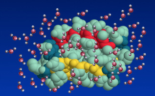 MRI protein, macromolecule, short T1