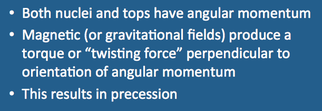 nuclear precession