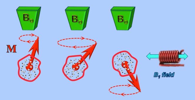 NMR, radiofrequency B1