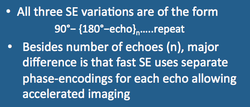 Spin echo (SE)