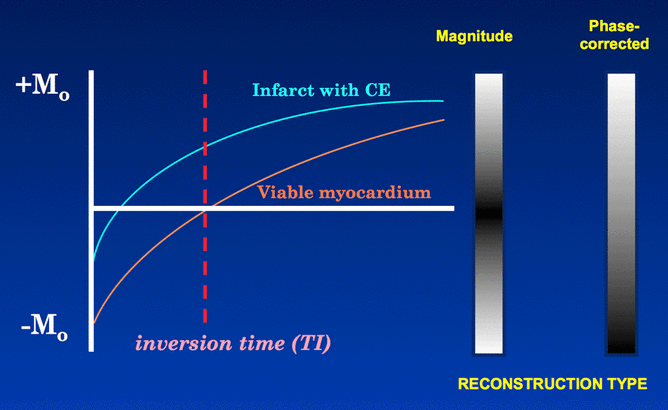 phase-sensitive IR