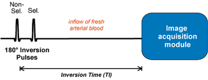 double IR black blood sequence