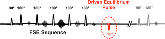 driven equilibrium (fast recovery)