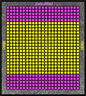 Zero-Interpolation Filling (ZIP)