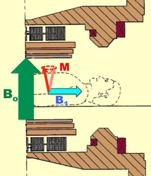 NMR, radiofrequency B1