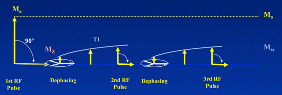 Steady-state magnetization