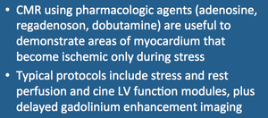 myocardial stress test mri