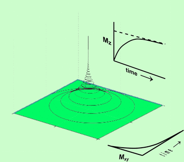 T1 and T2 relaxation, Bloch equations