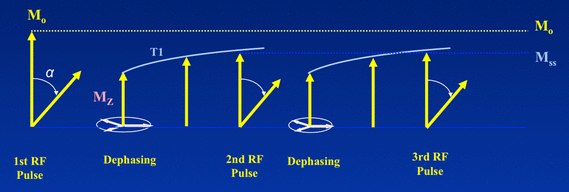 Steady-state magnetization