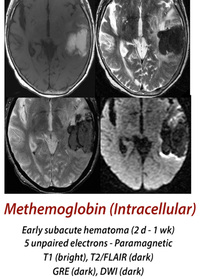 Intracellular metHb