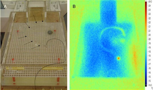 pacemaker heating test